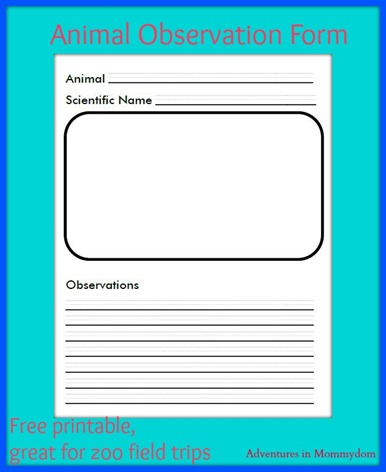 Weekly Printables Round-Up: Animal Observation Form, Identify the Nouns