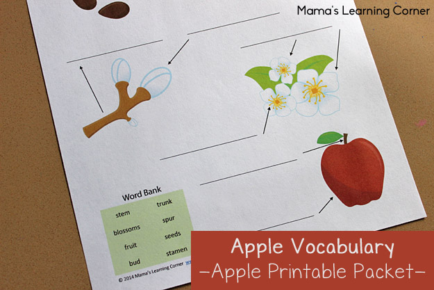 the world is an apple term paper the world is an apple term paper
