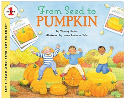 From Seed to Pumpkin - Mamas Learning Corner From Seed to Pumpkin
