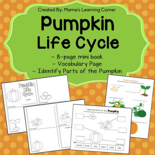 Pumpkin Life Cycle Printable Packet - Mamas Learning Corner