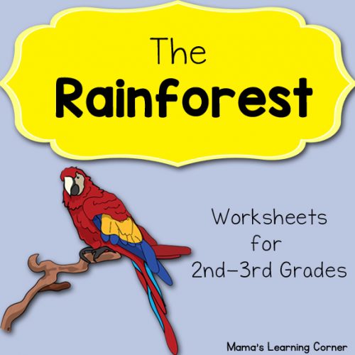 Rainforest Worksheets for 1st-3rd Graders - Mamas Learning Corner