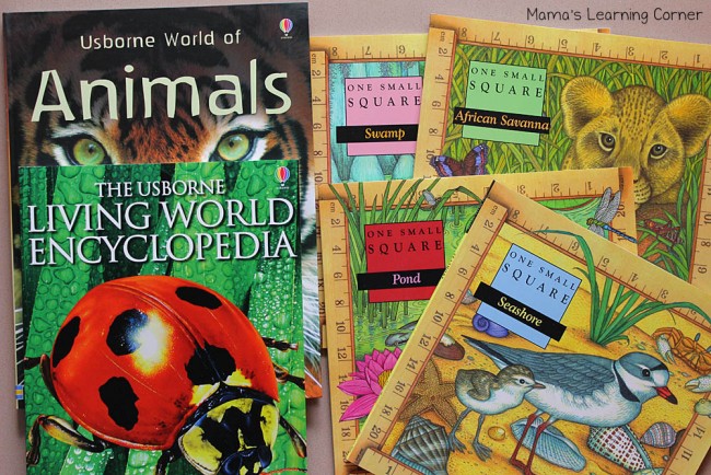 First Grade Curriculum Homeschool Plans for 2015-2016 - Mamas Learning