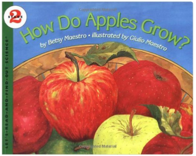 How Do Apples Grow? - Mamas Learning Corner How Do Apples Grow? by Betsy Maestro - books about apples for kids