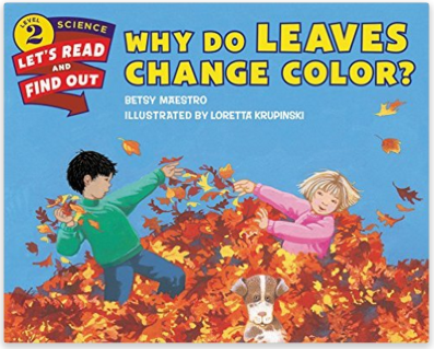 Why Do Leaves Change Color? - Mamas Learning Corner Why Do Leaves Change Color?