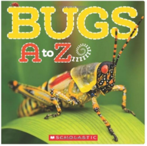 Bugs A to Z - Mamas Learning Corner Bugs A to Z