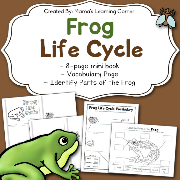 Frog Life Cycle Worksheets Mamas Learning Corner