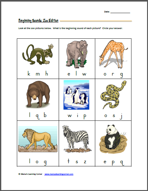 Letter Words From Pelvis Letter Words From Pelvis