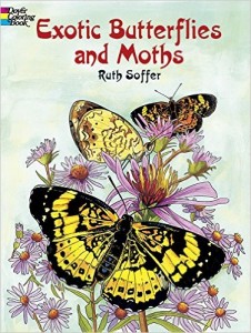 Butterflies and Moths Coloring Book
