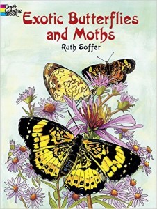 moths and butterflies venn diagram worksheet mamas learning corner butterfly and moth venn diagram