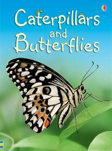 moths and butterflies venn diagram worksheet mamas fill in the blank venn diagram