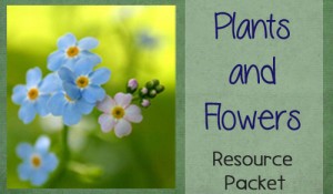 Plants and Flowers Themed Worksheet Packet