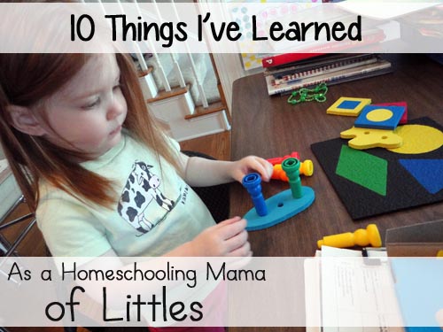 10 Things I've Learned as a Homeschooling Mama of Littles