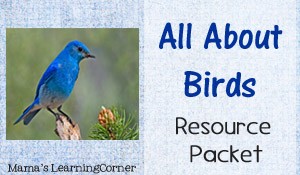 All About Birds Resource Packet - Mama's Learning Corner