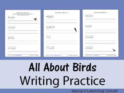 All About Birds Writing Practice