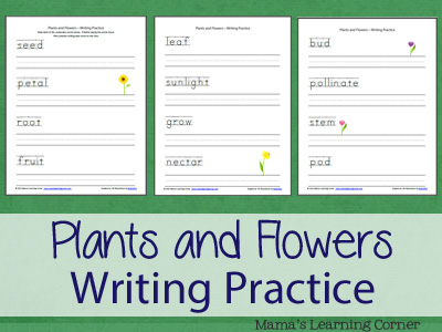 Plants and Flowers Vocabulary Writing Practice for Preschool-1st Grade