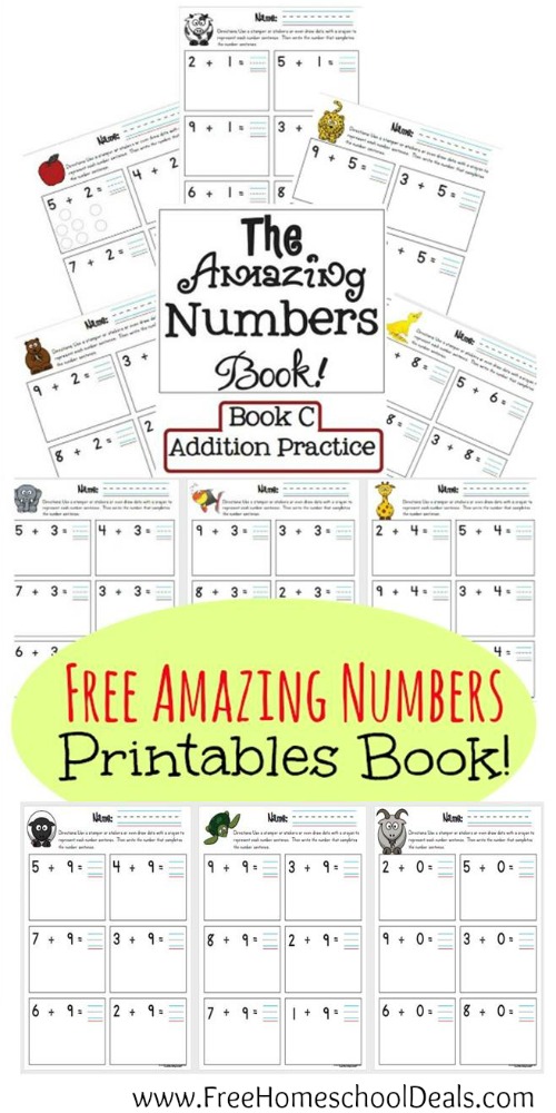 Free Amazing Numbers Book