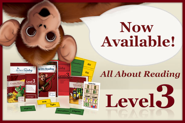 All About Reading Level 3 is now available!