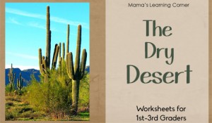 Desert Worksheets for 1st-3rd Graders: definitions, word search, bar graph practice, major deserts in the world, reading comprehension, ABC order, and more!