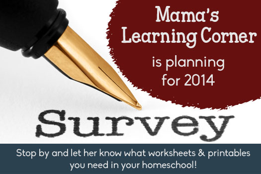 2013 Reader Survey at Mama's Learning Corner 