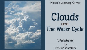 Clouds and the Water Cycle Worksheets for 1st - 3rd Graders