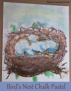 Birds Nest Chalk Pastel