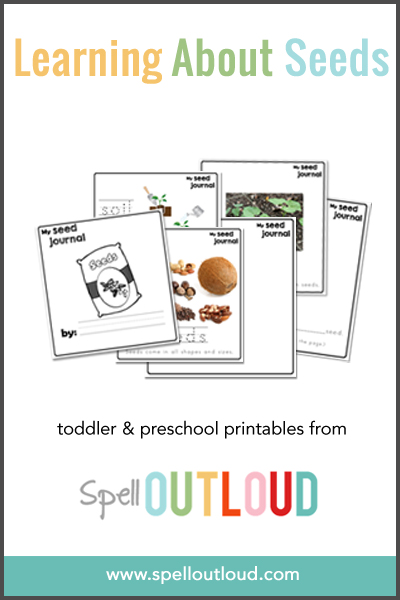 Preschool Seed Journal from Spell Outloud