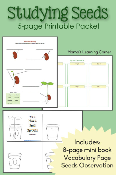 Studying Seeds - Printable Mini-Book, Seed Chart, and Vocabulary Page