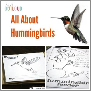 Hummingbird Printables