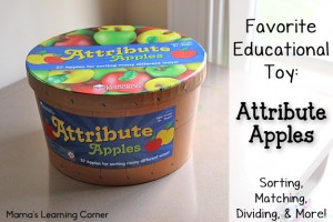 Attribute Apples: one of our favorite educational toys!