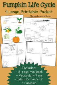 Pumpkin Life Cycle Worksheets