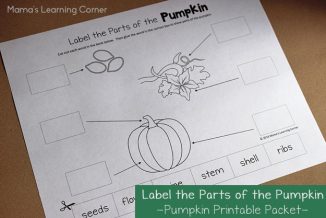 Pumpkin Life Cycle Worksheets - Mamas Learning Corner