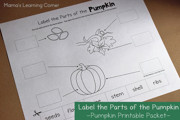 Pumpkin Worksheet: Label the parts of the pumpkin