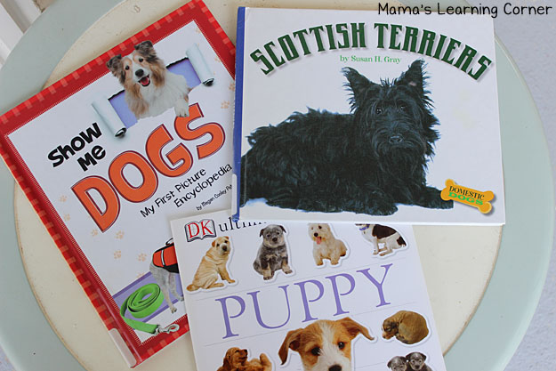 Scottish Terrier Books