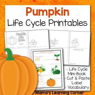 Pumpkin Life Cycle Worksheets - Mamas Learning Corner