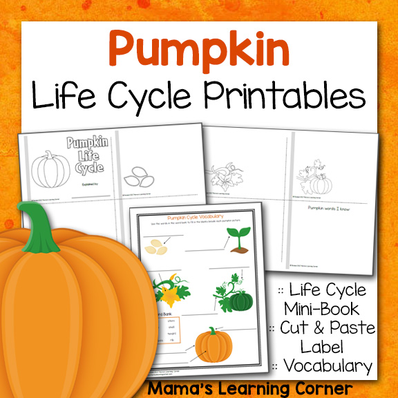 Pumpkin Life Cycle Printable Packet Mamas Learning Corner