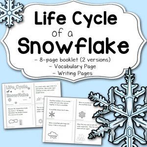 Life Cycle of a Snowflake