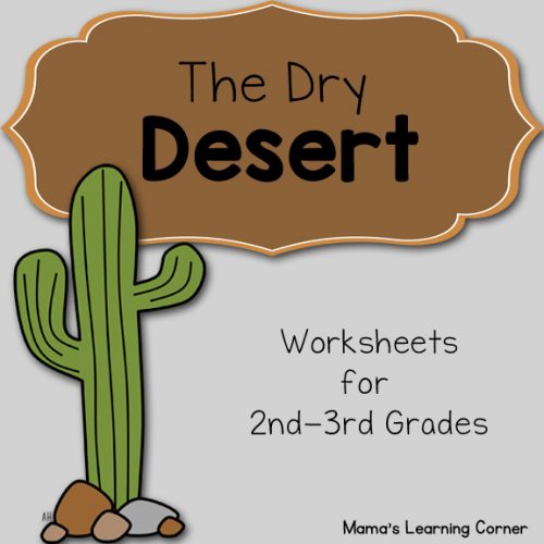 desert-animals-class-6-lesson-plan