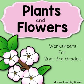 Plants and Flowers Worksheets - Mamas Learning Corner Plants and Flowers Worksheets