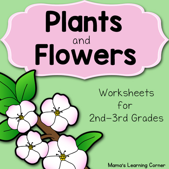 Plants and Flowers Worksheets
