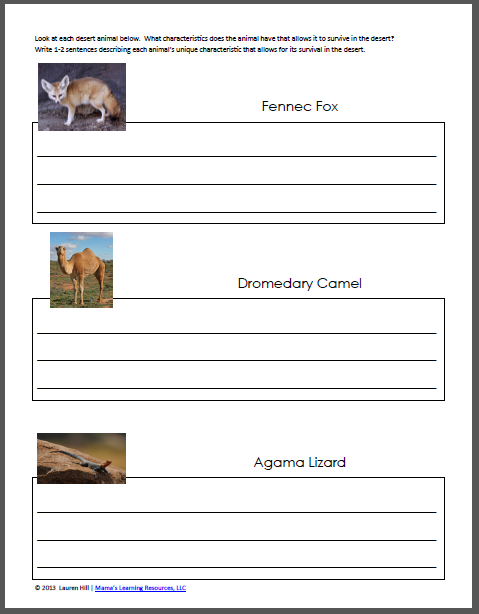Desert Worksheets