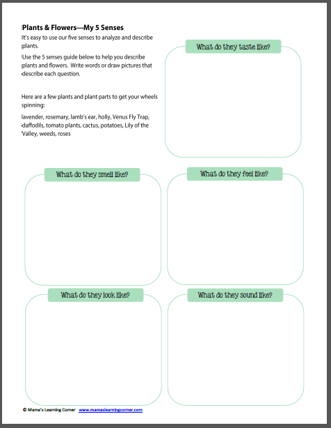 Plants and Flowers Worksheets