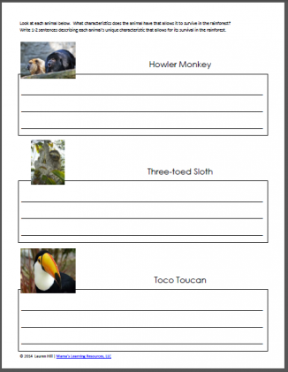 rainforest worksheets for 1st 3rd graders mamas learning corner