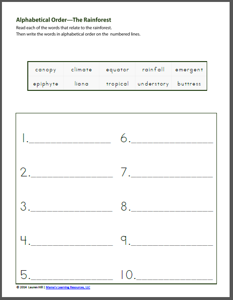 Rainforest Worksheets for 1st-3rd Graders - Mamas Learning Corner