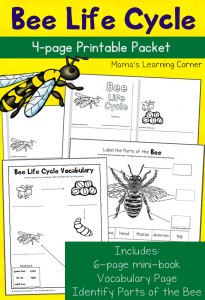 Bee Life Cycle Worksheets