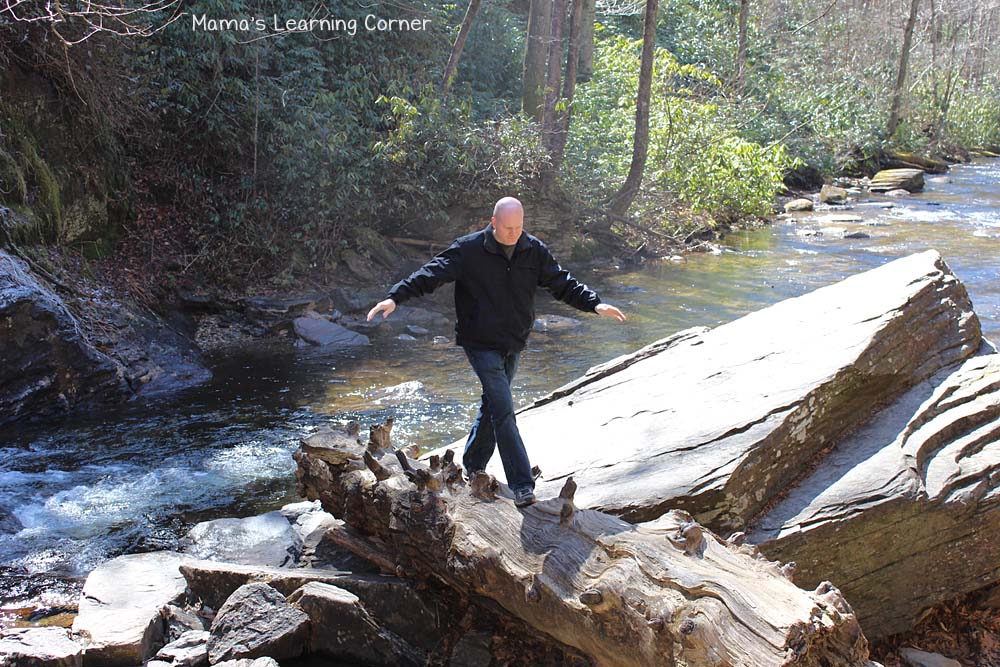 Mountain Stream