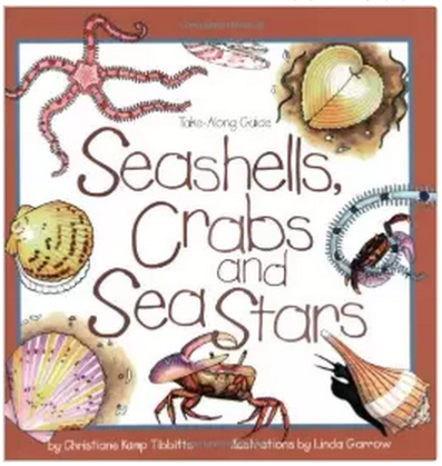 Seashells, Crabs, and Sea Stars
