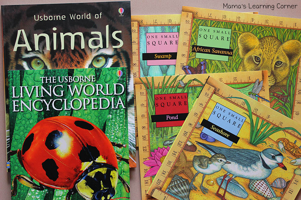1st Grade Curriculum Science - Mamas Learning Corner 3rd grade homeschool curriculum 2015-2016: Science for multiple ages