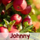 Johnny Appleseed Worksheets and Unit Study Resources
