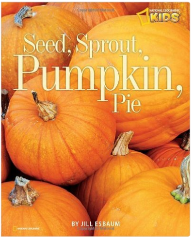 Seed, Sprout, Pumpkin Pie