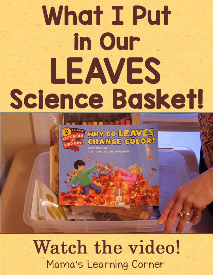 What I Put in Our Leaves Science Basket - Mamas Learning Corner What I Put in Our Leaves Science Basket